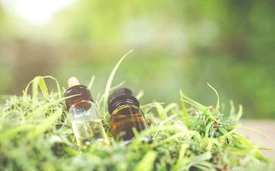 CBD Isolate vs Full Spectrum CBD: Which CBD Should I Take?