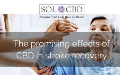The Promising Effects of Cannabidiol in Stroke Recovery